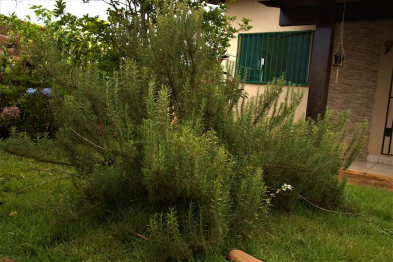 Casa Com Spa De Hidro, Aquecedor E Cromoterapia A 1,0 Km Do Centro Chapada dos Guimaraes Luaran gambar